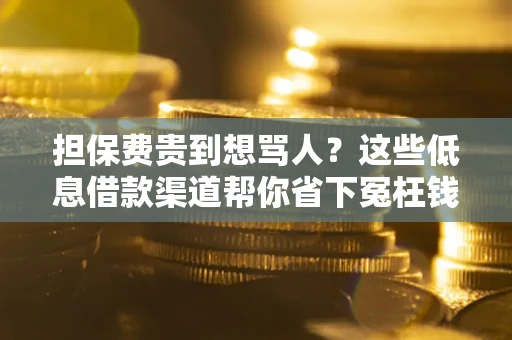北京担保费贵到想骂人？这些低息借款渠道帮你省下冤枉钱