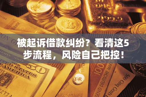 北京被起诉借款纠纷？看清这5步流程，风险自己把控！