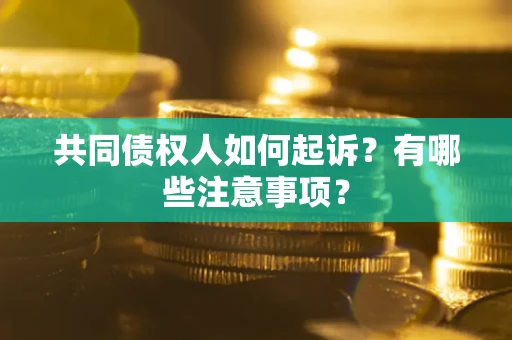 北京共同债权人如何起诉？有哪些注意事项？